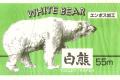 白熊
